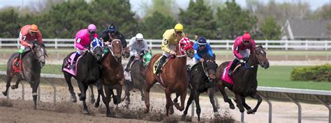 fonner park sportsbook review|Fonner Park .